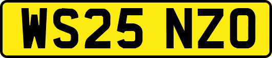 WS25NZO