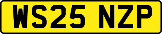 WS25NZP