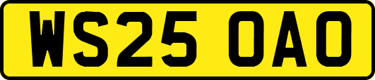 WS25OAO