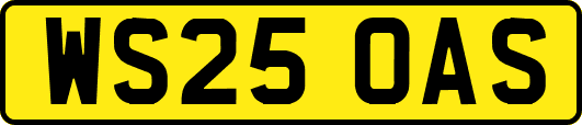 WS25OAS