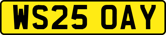 WS25OAY