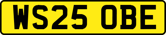 WS25OBE