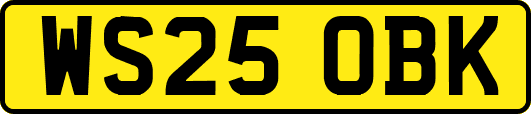 WS25OBK