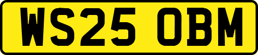 WS25OBM