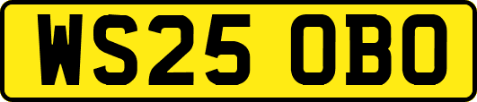 WS25OBO