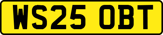 WS25OBT