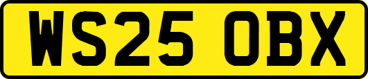 WS25OBX