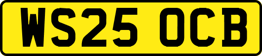 WS25OCB