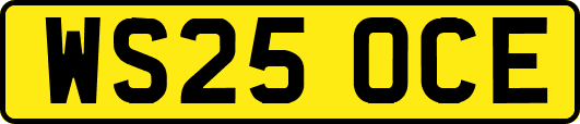 WS25OCE