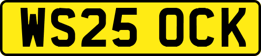 WS25OCK