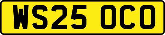 WS25OCO