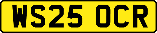 WS25OCR