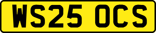 WS25OCS