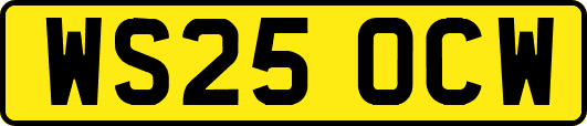 WS25OCW