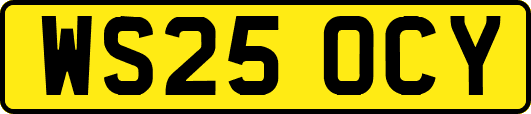 WS25OCY