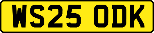 WS25ODK