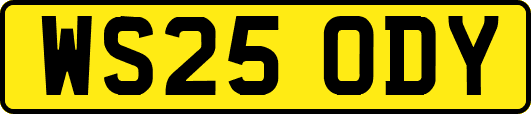 WS25ODY