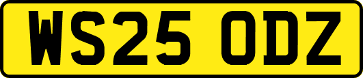 WS25ODZ