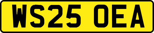 WS25OEA