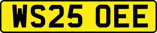 WS25OEE