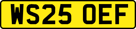 WS25OEF