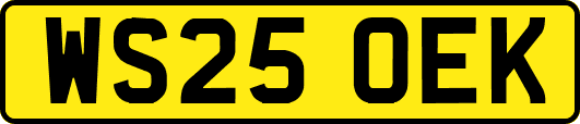 WS25OEK