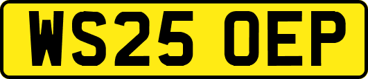 WS25OEP