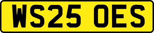 WS25OES