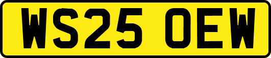 WS25OEW