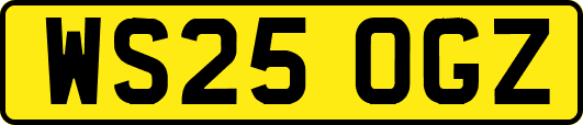 WS25OGZ