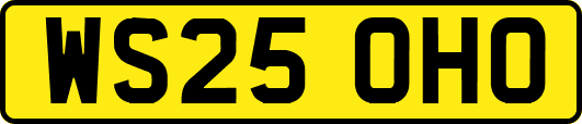 WS25OHO