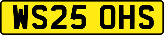 WS25OHS