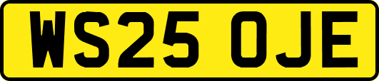 WS25OJE