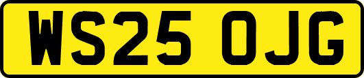 WS25OJG
