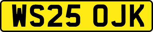 WS25OJK