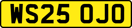 WS25OJO