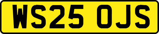 WS25OJS