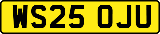 WS25OJU