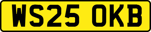 WS25OKB