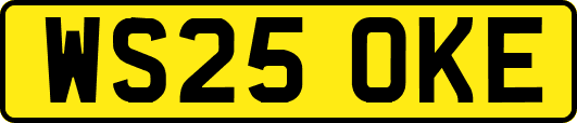 WS25OKE