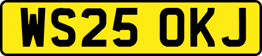 WS25OKJ