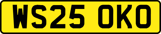 WS25OKO