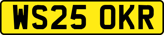 WS25OKR