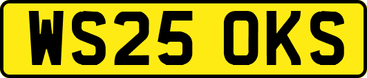 WS25OKS