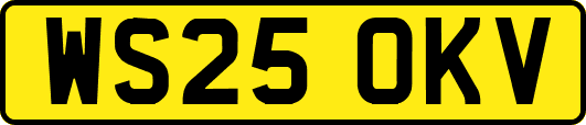 WS25OKV