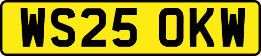 WS25OKW