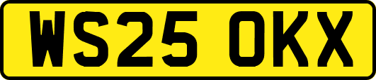 WS25OKX