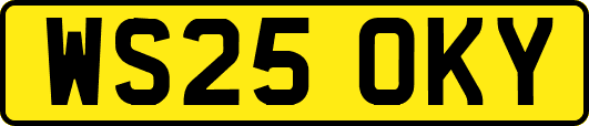 WS25OKY
