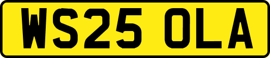WS25OLA