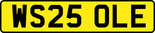 WS25OLE